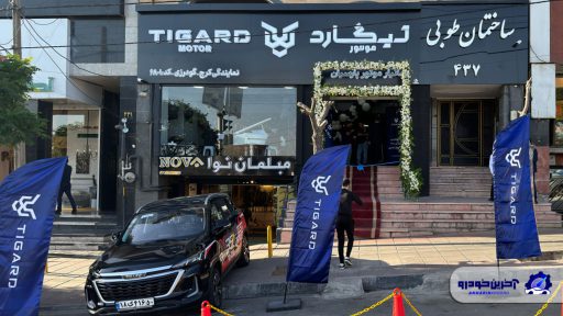 نمایندگی 6801 تیگارد موتور