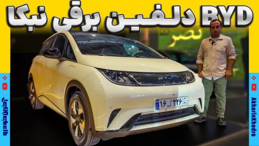 بی وای دی دلفین