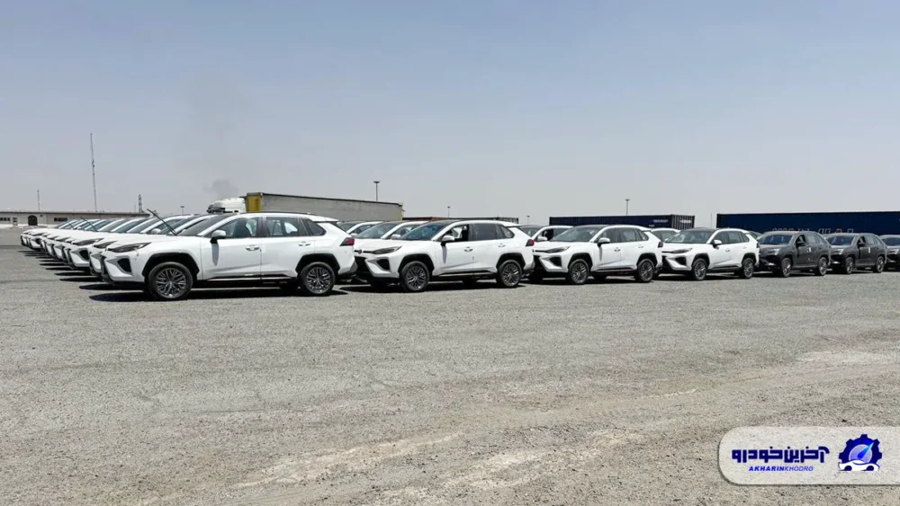 بزرگترین محموله خودروهای جانبازی ترخیص شد
