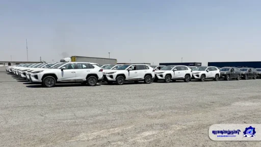 بزرگترین محموله خودروهای جانبازی ترخیص شد