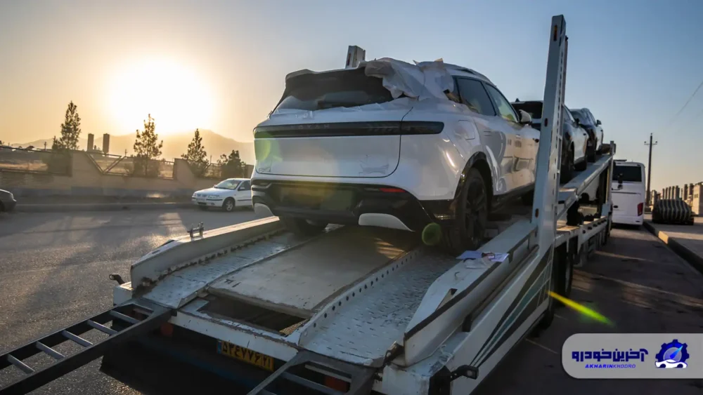 نخستین محموله وویا فری 2025 ترخیص شد