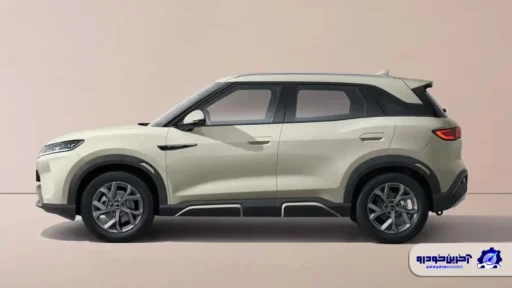 خودروسازان چینی در کدام کشورها با سرعت بالایی در حال رشد هستند؟