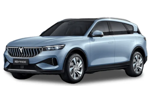 وویا فری ؛ مشخصات فنی + معرفی