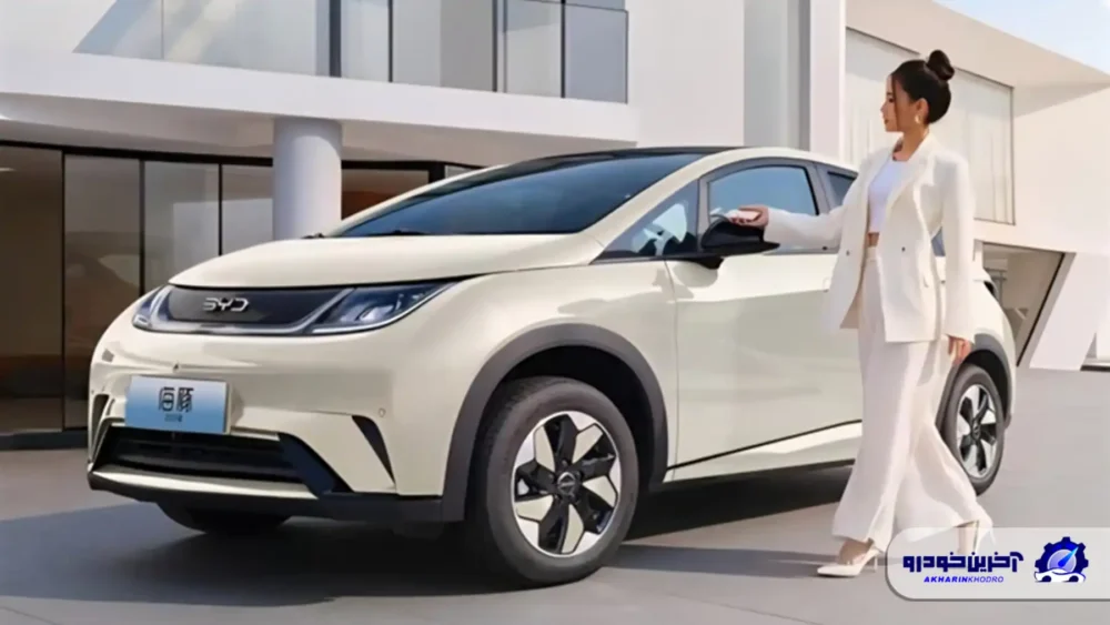 بی وای دی دلفین